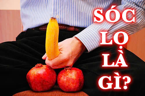 Sóc lọ là gì?